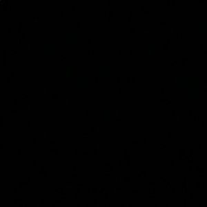 Meet your Posher, Shelton